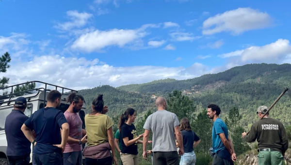 Growing Trees and Building Connections in Fafião